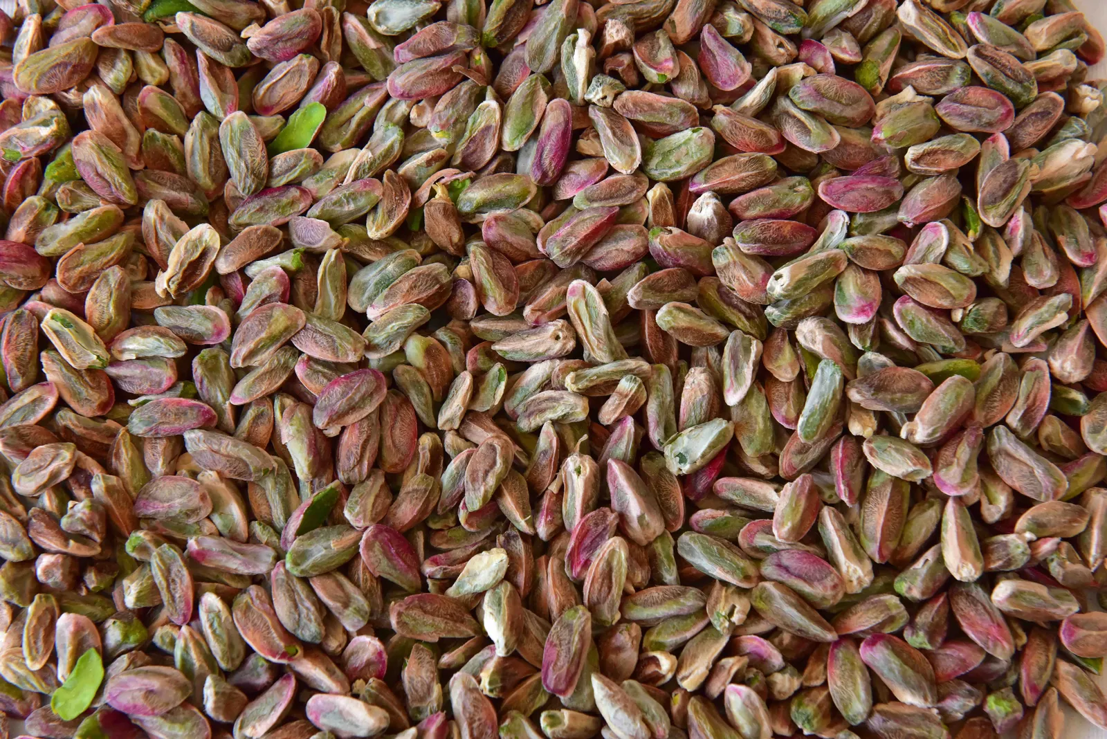 Green 2nd Grade (Boz2) 2